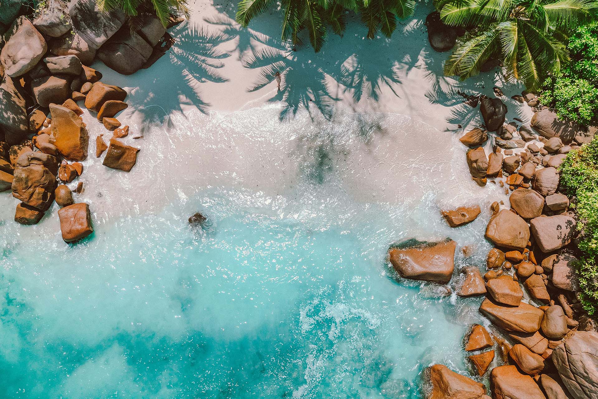 Seychelles beach aerial view