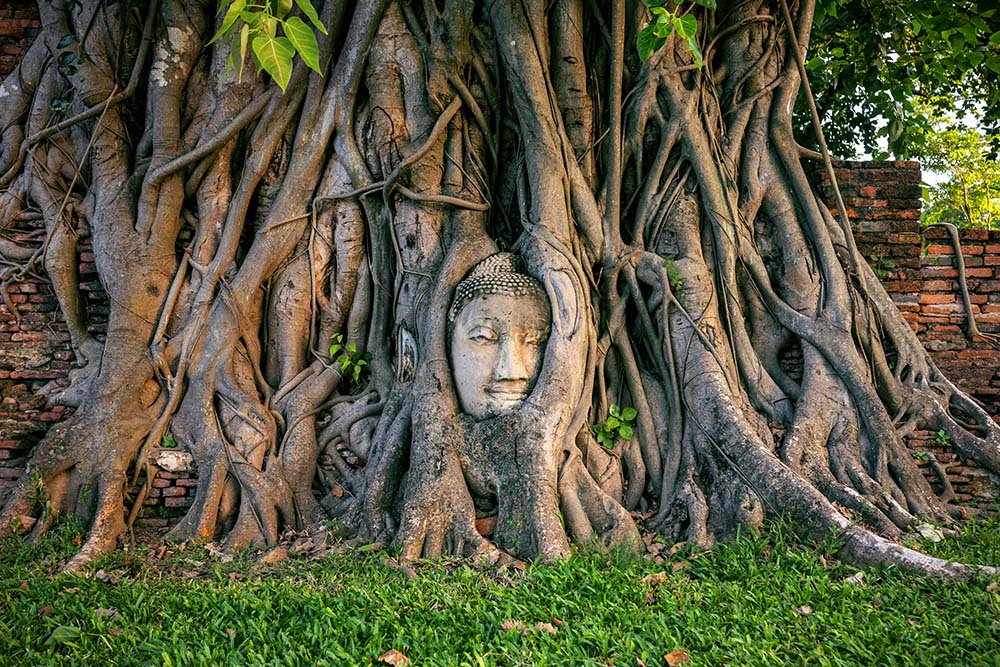 Ayutthaya
