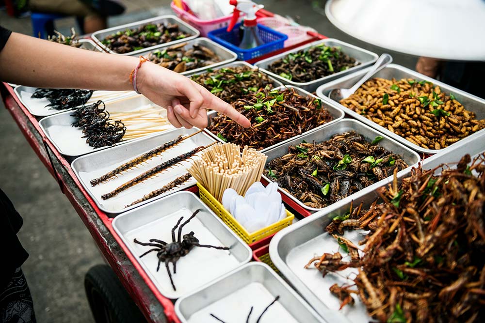 Fried insects street food at a Bangkok night market